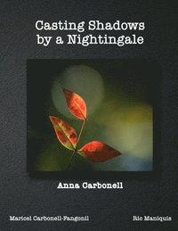 bokomslag Casting Shadows by A Nightingale