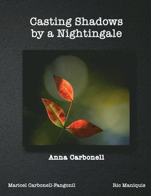 bokomslag Casting Shadows by A Nightingale