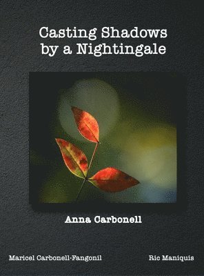 bokomslag Casting Shadows by A Nightingale