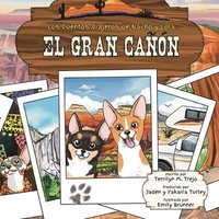 bokomslag El Gran Can