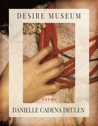 bokomslag Desire Museum