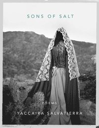 bokomslag Sons of Salt