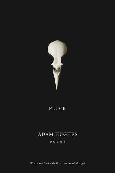 Adam Hughes - Pluck, Häftad