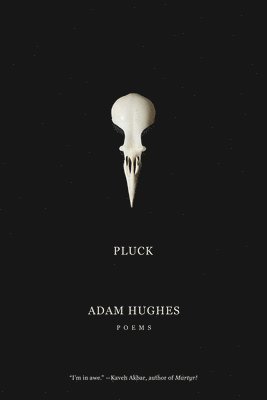 Adam Hughes - Pluck, Inbunden