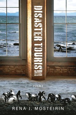 Rena J. Mosteirin - Disaster Tourism, Häftad
