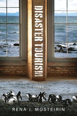 Rena J. Mosteirin - Disaster Tourism, Inbunden