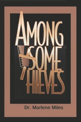 bokomslag Among Some Thieves