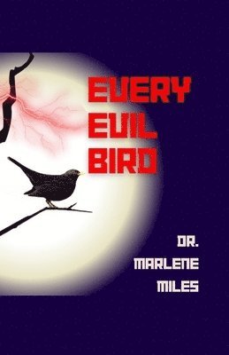 bokomslag Every Evil Bird