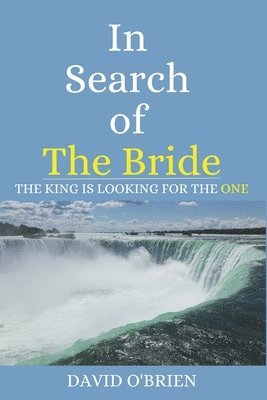 David O'Brien - In Search of The Bride, Häftad