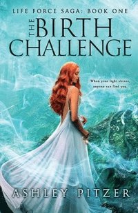 bokomslag Birth Challenge