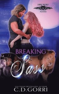 bokomslag Breaking Sass
