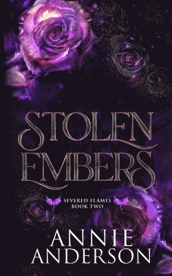 bokomslag Stolen Embers