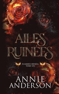 bokomslag Ailes ruinées