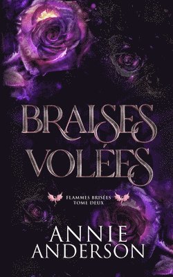 bokomslag Braises volées