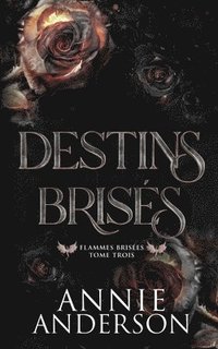 bokomslag Destins Brisés