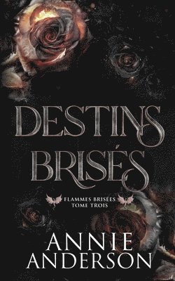 bokomslag Destins Brisés