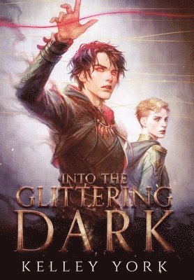 Into the Glittering Dark 1