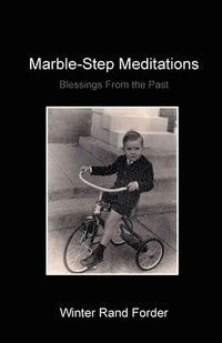 bokomslag Marble-Step Meditations