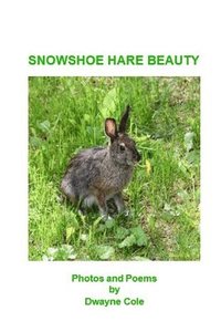 bokomslag Snowshoe Hare Beauty