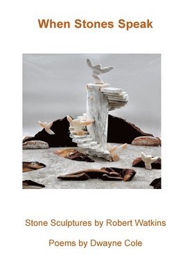 Dwayne Cole - When Stones Speak, Häftad