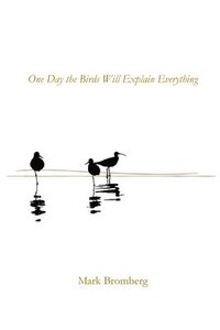 bokomslag One Day the Birds Will Explain Everything