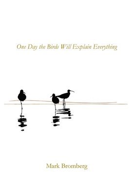 bokomslag One Day the Birds Will Explain Everything