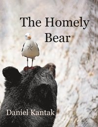 bokomslag Homely Bear