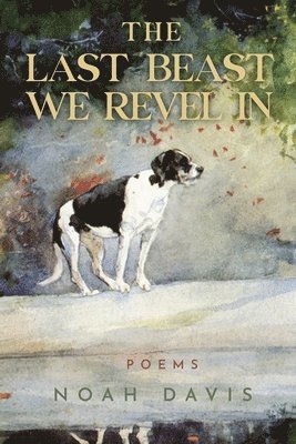 Noah Davis - Last Beast We Revel In, Häftad