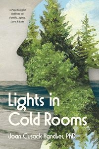 bokomslag Lights in Cold Rooms