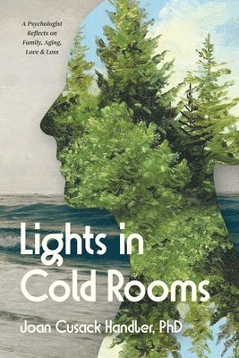 bokomslag Lights in Cold Rooms