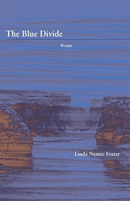 bokomslag Blue Divide