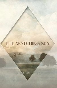 bokomslag Watching Sky