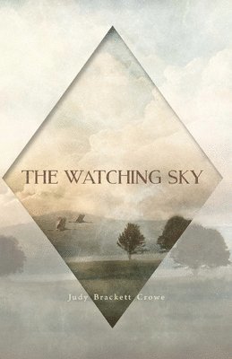 bokomslag Watching Sky