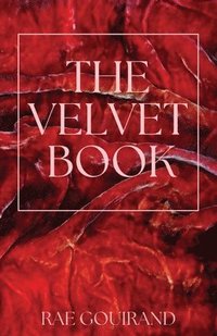 bokomslag The Velvet Book