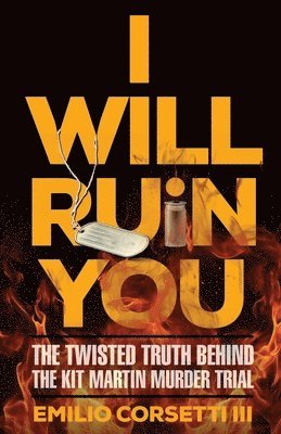 bokomslag I Will Ruin You