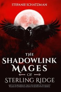 bokomslag The Shadowlink Mages of Sterling Ridge