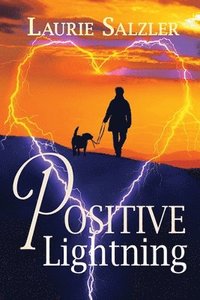 bokomslag Positive Lightning