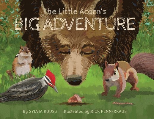 Little Acorn's Big Adventure