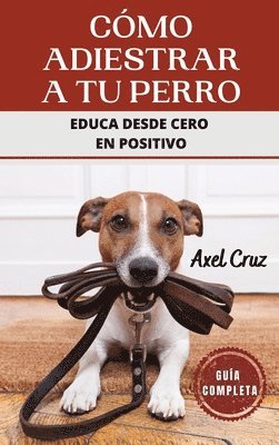 Cmo Adiestrar a tu Perro 1