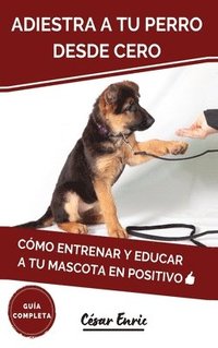 bokomslag Adiestra a tu Perro Desde Cero