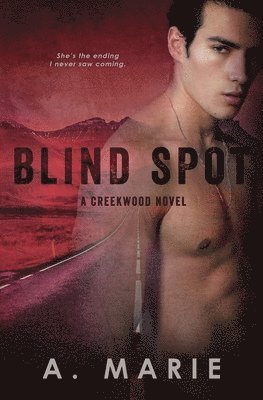 Blind Spot 1