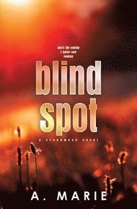 bokomslag Blind Spot Discreet Cover