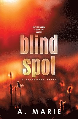 bokomslag Blind Spot Discreet Cover