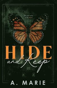 bokomslag Hide and Keep Discreet Cover