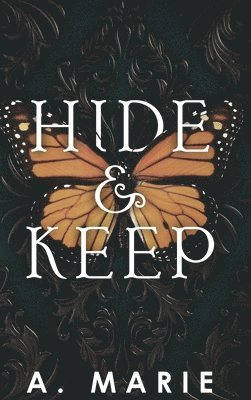 Hide and Keep: An enemies to lovers bodyguard romance