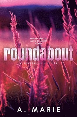 bokomslag Roundabout Discreet Cover