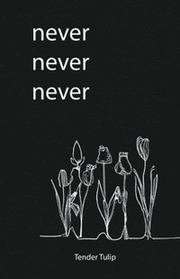 bokomslag Never Never Never