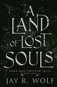 bokomslag A Land of Lost Souls