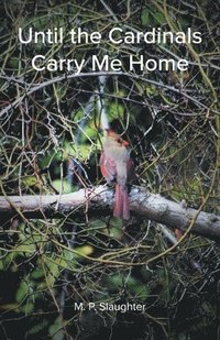 bokomslag Until the Cardinals Carry Me Home