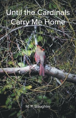bokomslag Until the Cardinals Carry Me Home